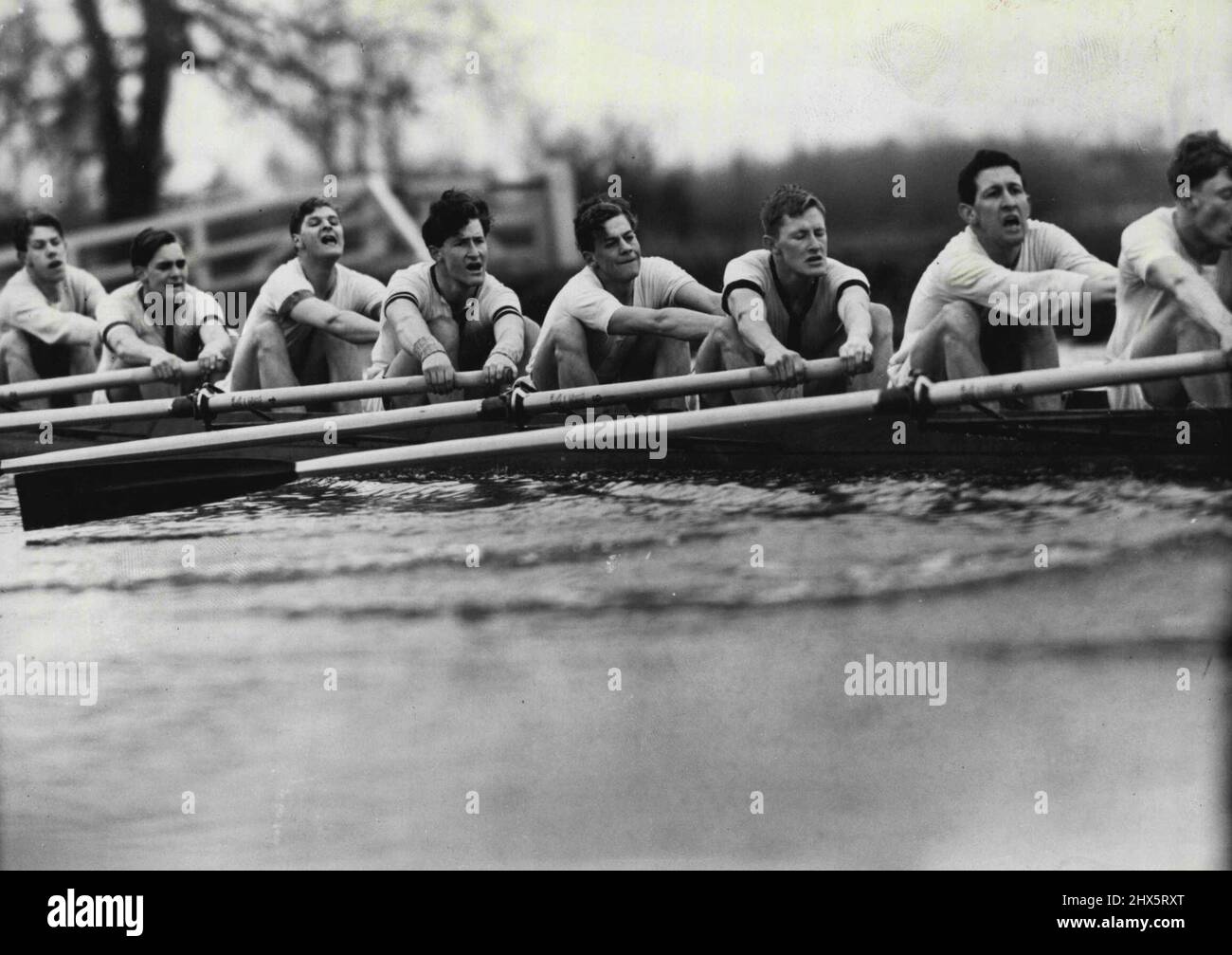 Dark Blues In Training -- A study in expressions from the Dark Blues as they train in rough water at Wallingford. From left they are: M.I. Ross (rowing in place of Gobbo who has influence): E.V. Vine: J.M. Wilson; D.P. Wells, a new 'Blue'; R.D.T. Raikes: J.G. McLeod: E.O.G. Rain. Although J.A. Gobbe, The Australian President of the Oxford University Boat Club, has selected his crew for the Boat Race, he has not finally decided upon seating positions, and the Eight are still being 're-shuffled' during training, to ensure that the best possible combination meets Cambridge. February 24, 1955. Stock Photo