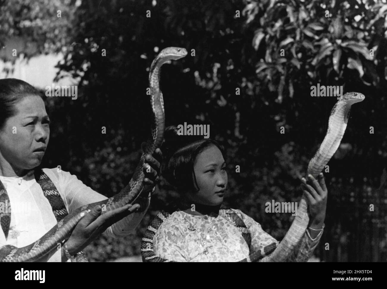 Ma Ohn Sein, wife of the snake charmer, and their daughter demonstrate how easy it is for the initiated to hold deadly snakes. The snake charmers smear themselves with an anti-venom vaccine before a performance, but a bite can still be fatal. May 18, 1949. (Photo by Henri Cartier-Bresson, Magnum Photos Inc.). Stock Photo