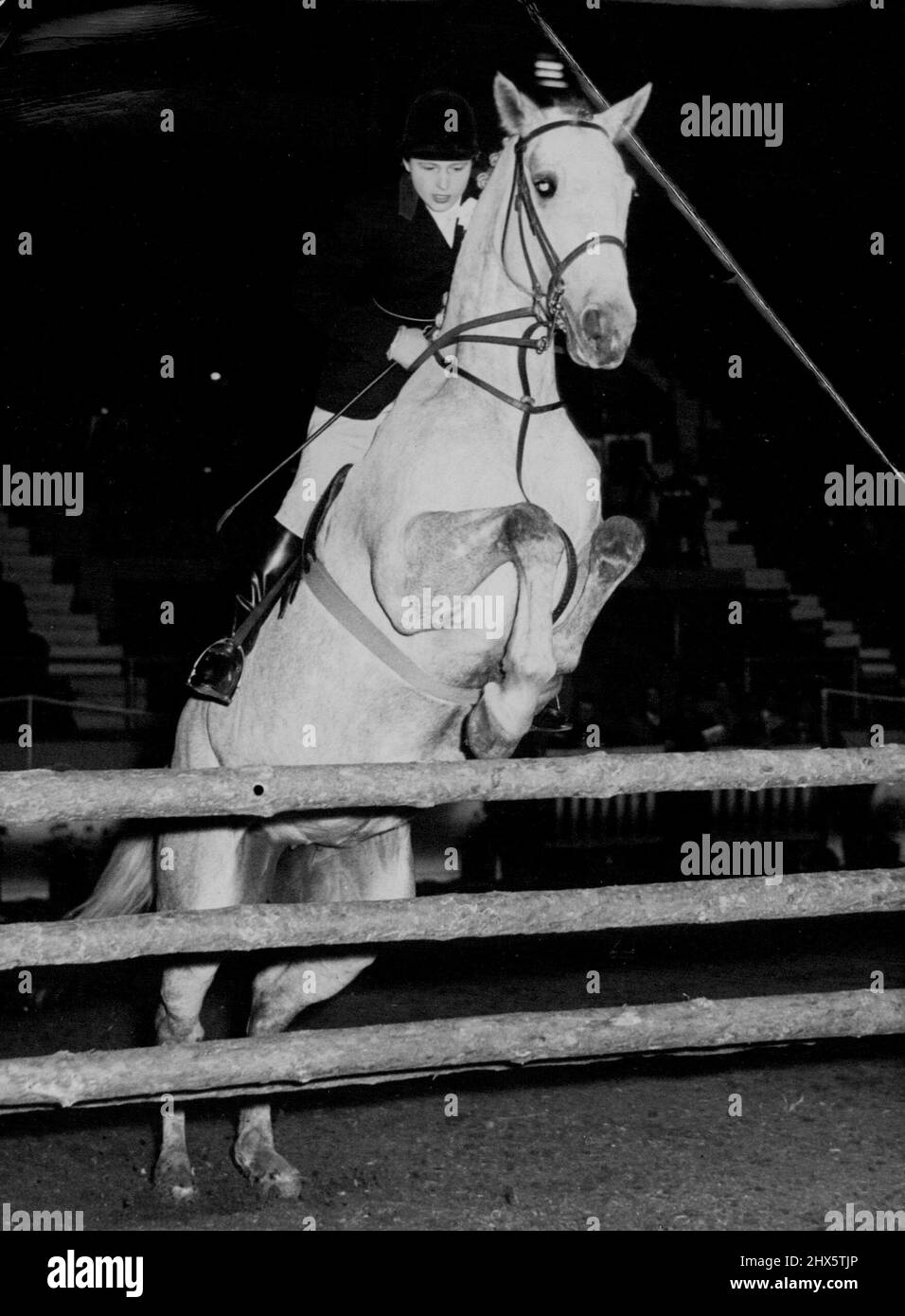 The Foxhunter Championship -- Miss. Pat Smythe, Britain's foremost woman show Jumper, takes 'Prima Donna' over a jump, during the foxhunter championship at Harringay, London. The championship is a part of the horse of the year show. October 18, 1954. (Photo by Paul Popper Ltd.). Stock Photo