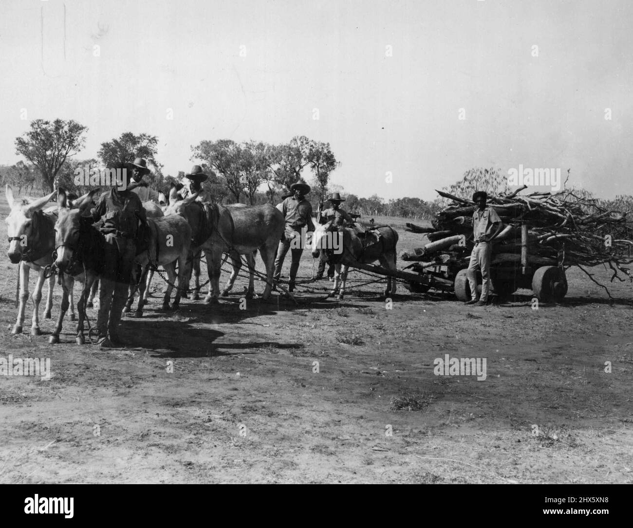 black horse trucking jobs