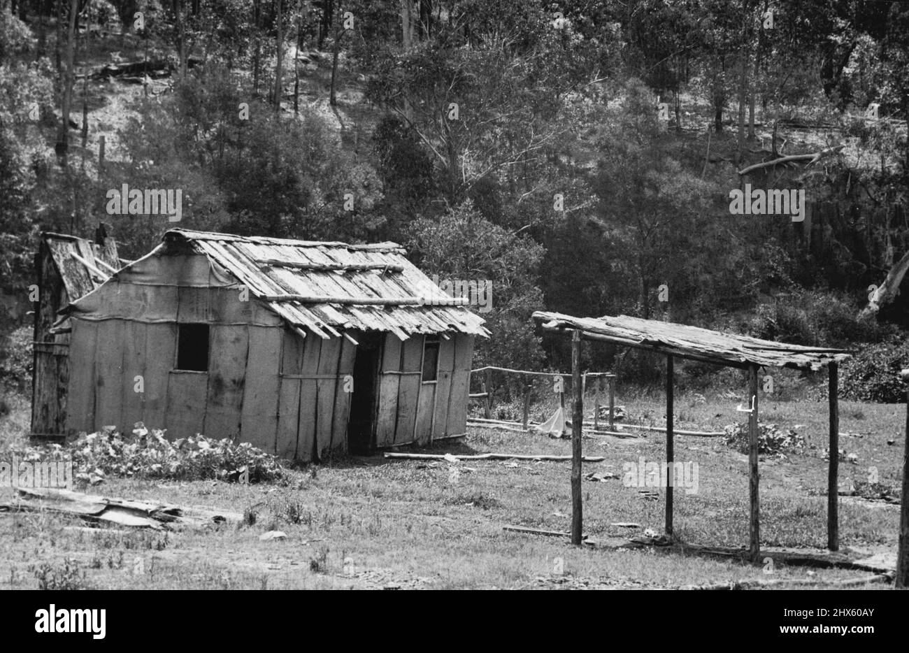 Settlers home crooked creek North Coast. August 28, 1951.;Settlers home