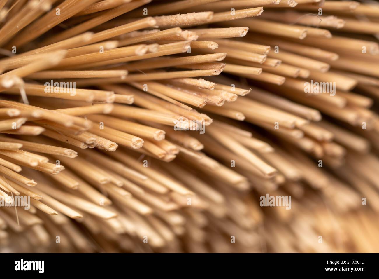 macro image of the end of a broom bristles Stock Photo Alamy
