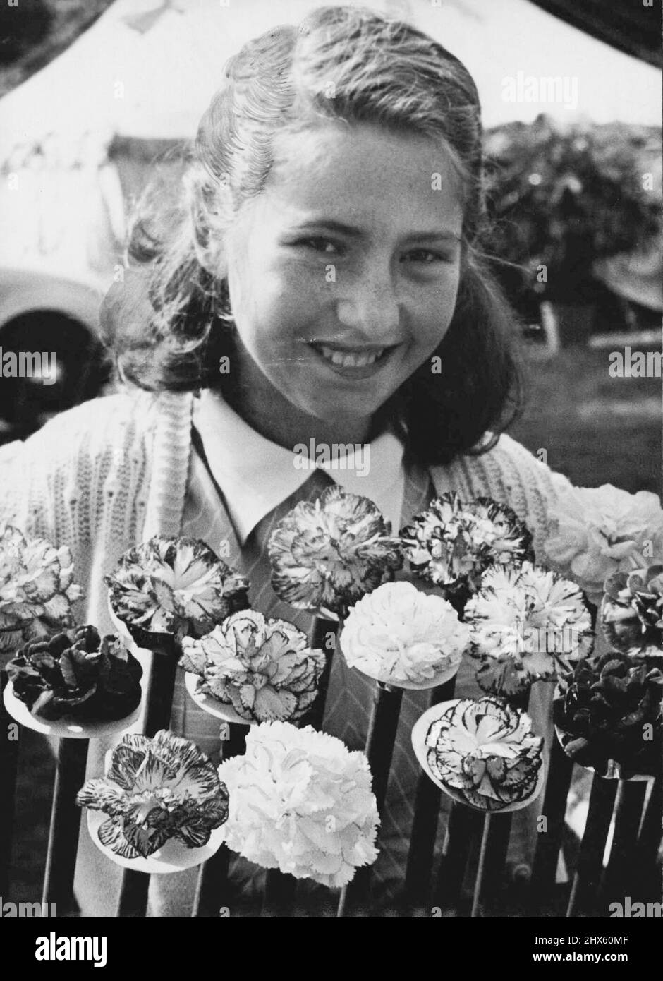 Colorful Carnations. Striking a colorful pose with a tray of carnations at the Chelsea Flower Show in the Domain is Joan Parry, 13. The blooms were grown by Mr. W. Grainger, of Mascot. September 19, 1946. Stock Photo