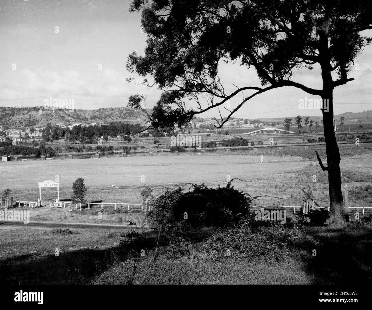 Teralba NSW. October 29, 1954. (Photo by Max Dupain).;Teralba NSW. Stock Photo