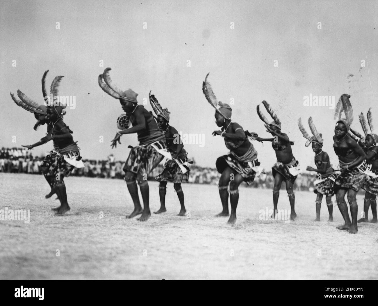 Wearing huge feathers in their hair, these girls stamp and leap and twist in a great dance of welcome to the Queen at Enugu Stadium. The crowd roared with delight when they saw that the Queen seemed pleased with the dance. February 01, 1955. (Photo by Daily Mirror).;Wearing huge feathers in their hair, these girls stamp and leap and twist in a great dance of welcome to the Queen at Enugu Stadium. The crowd roared with delight when they saw that the Queen seemed pleased with the dance. Stock Photo