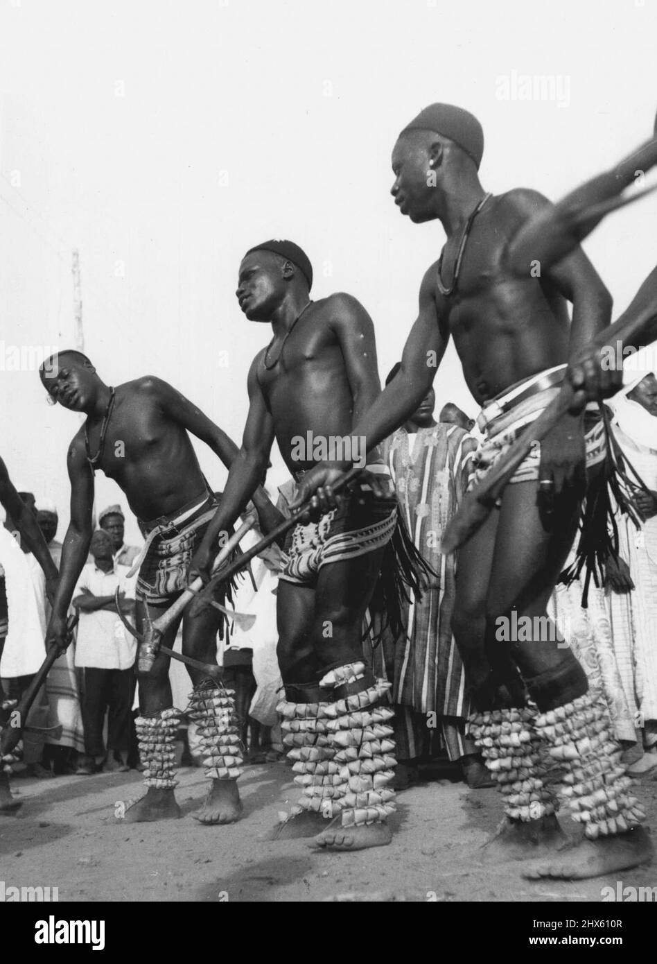 This was one of the tribal dances the Queen saw when she attended the rally of nearly 7,000 Northern ian tribesmen at Kaduna on Thursday (2-2-56). The tribesman danced to the accompaniment of seedpods tied round their legs. February 17, 1955. (Photo by Daily Mirror).;This was one of the tribal dances the Queen saw when she attended the rally of nearly 7,000 Northern ian tribesmen at Kaduna on Thursday (2-2-56). The tribesman danced to the accompaniment of seedpods tied round their legs Stock Photo