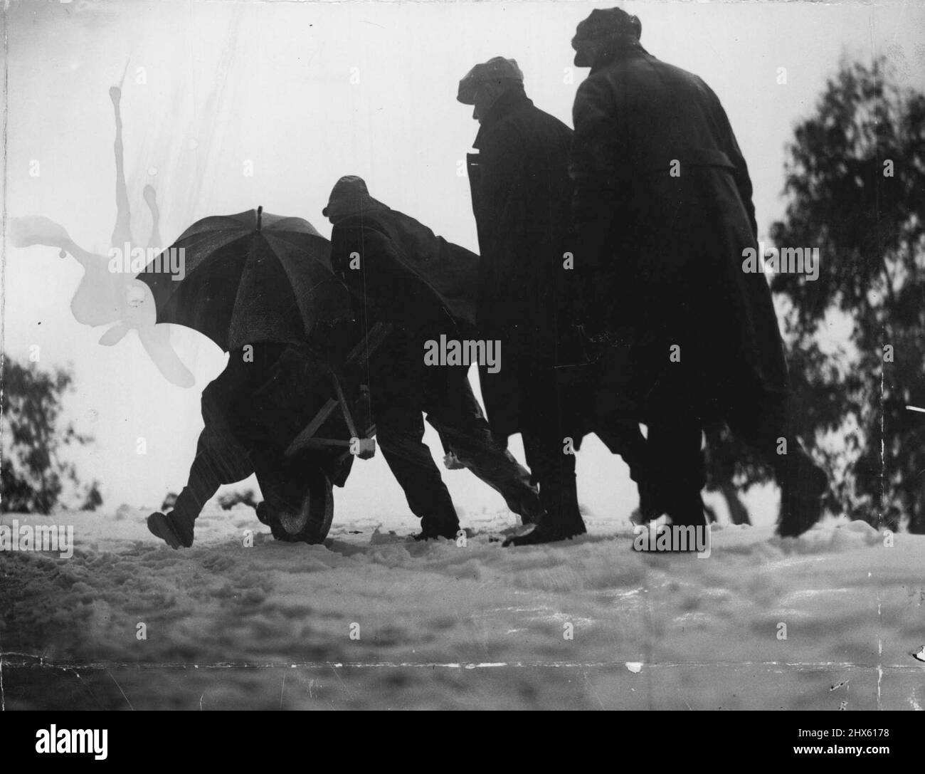 Barrow Gang Plods Through Buffalo Snow - Trudging upward on the heights of Mount Buffalo, the barrowmen, with their trainers following in single file, are shown making slow progress through the heavy snow which has another handicap to the pusher's task. July 1, 1935.;Barrow Gang Plods Through Buffalo Snow - Trudging upward on the heights of Mount Buffalo, the barrowmen, with their trainers following in single file, are shown making slow progress through the heavy snow which has another handicap Stock Photo