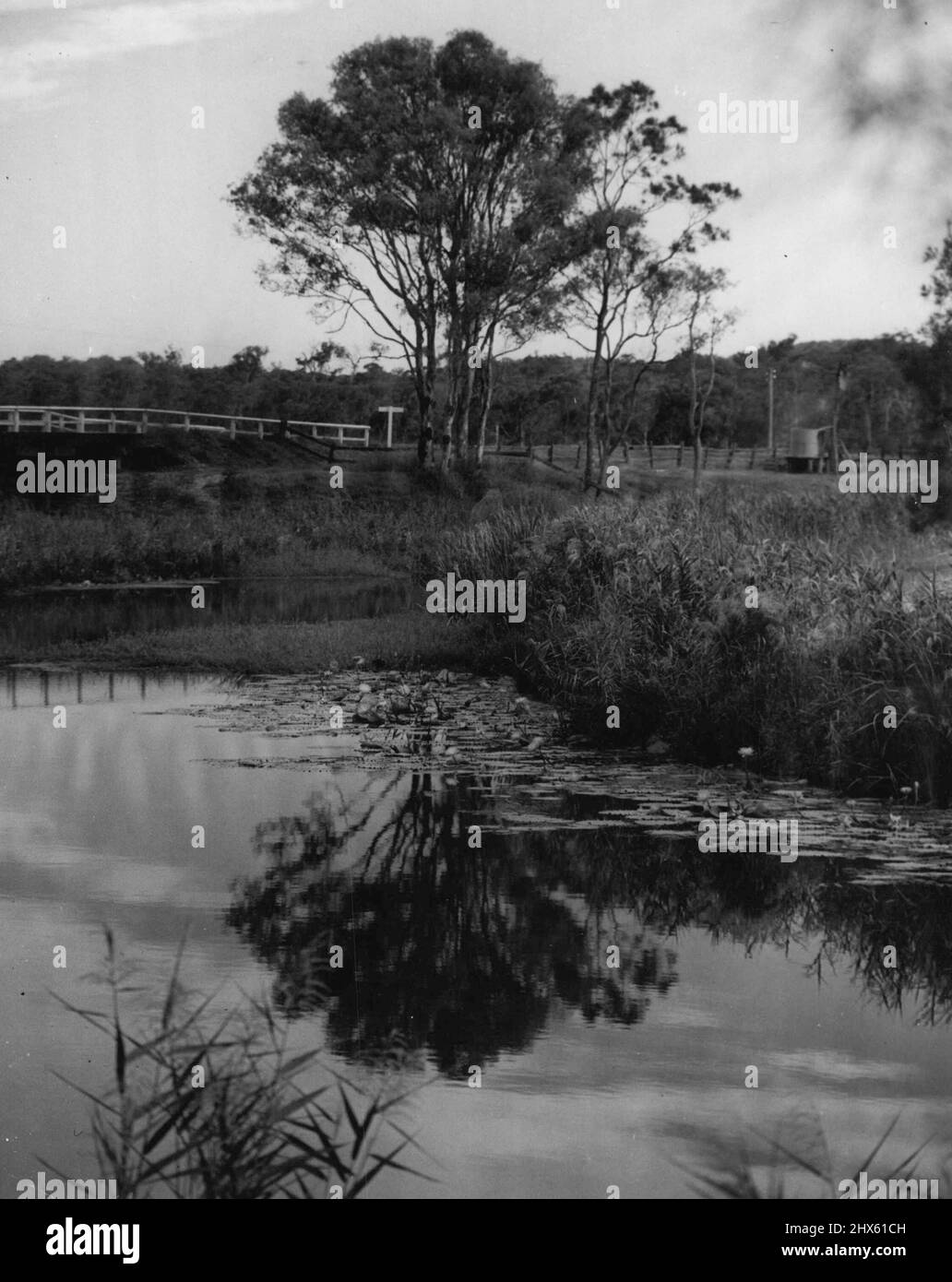 Water nostalgia reflection Black and White Stock Photos & Images - Alamy