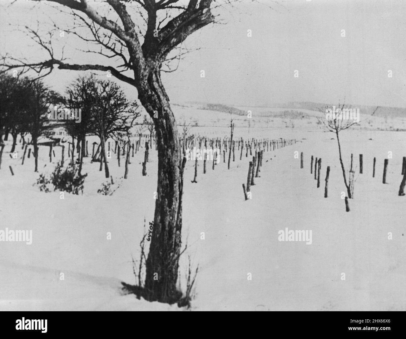 Barbed Wire Entanglements In Alsage -- Above photo taken in the hills of Alsace shows the wonderful barbed wire entanglemens placed by the French to keep out the Boche from making way further advance *****. April 16, 1918. (Photo by S.N. Ltd.). Stock Photo