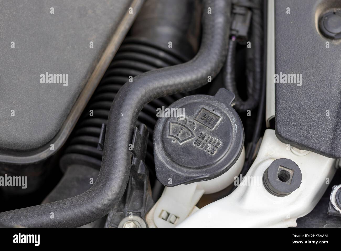 Car windshield water tank closeup Stock Photo Alamy