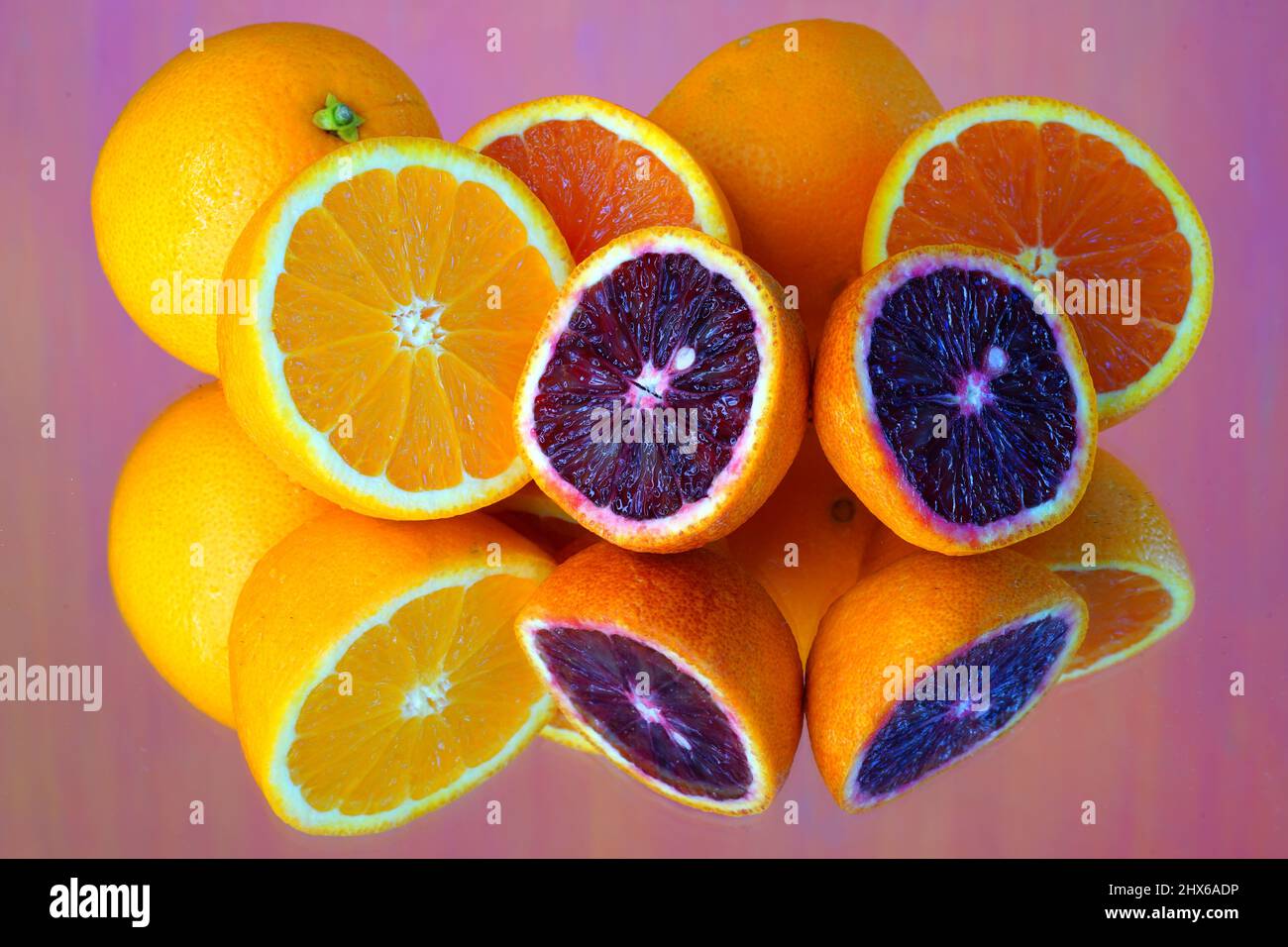 Colorful ruby red blood oranges, navel oranges, and clementines cut in
