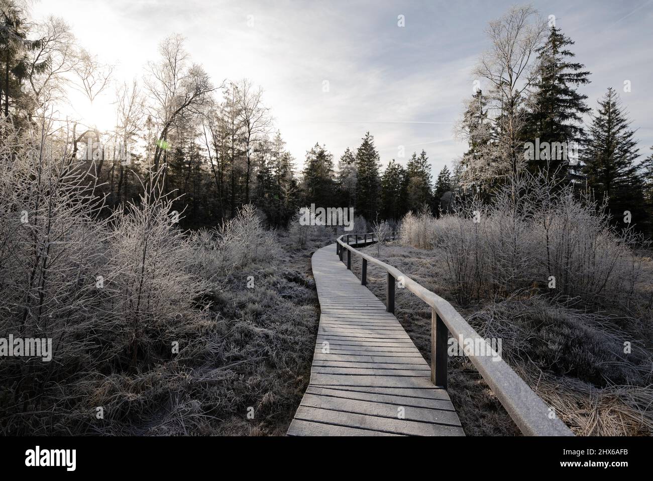 Frosty winter landscape with the low winter sun shining over the wooden plank path above the Mecklenbruch raised bog, Silberborn, Solling, Germany Stock Photo