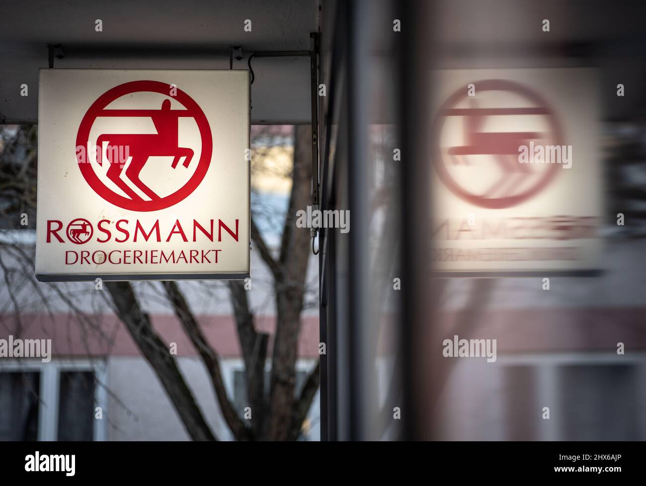 Rossmann  Company Overview & News