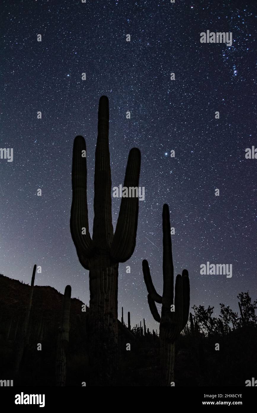 Arizona desert at night sky hi-res stock photography and images - Alamy