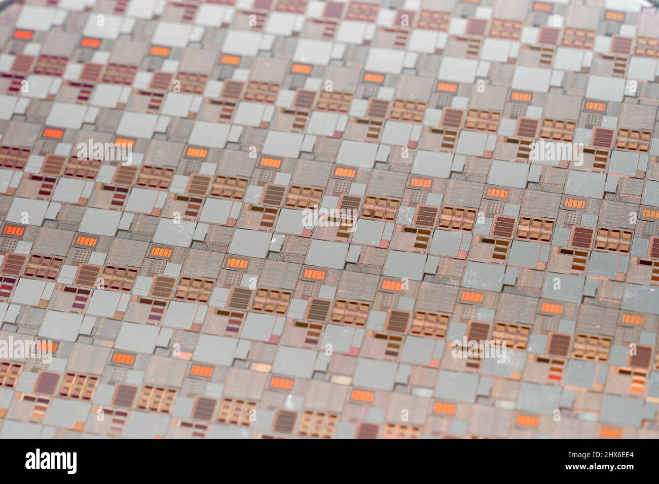 Silicon wafer for manufacturing semiconductor of integrated circuit. Stock Photo