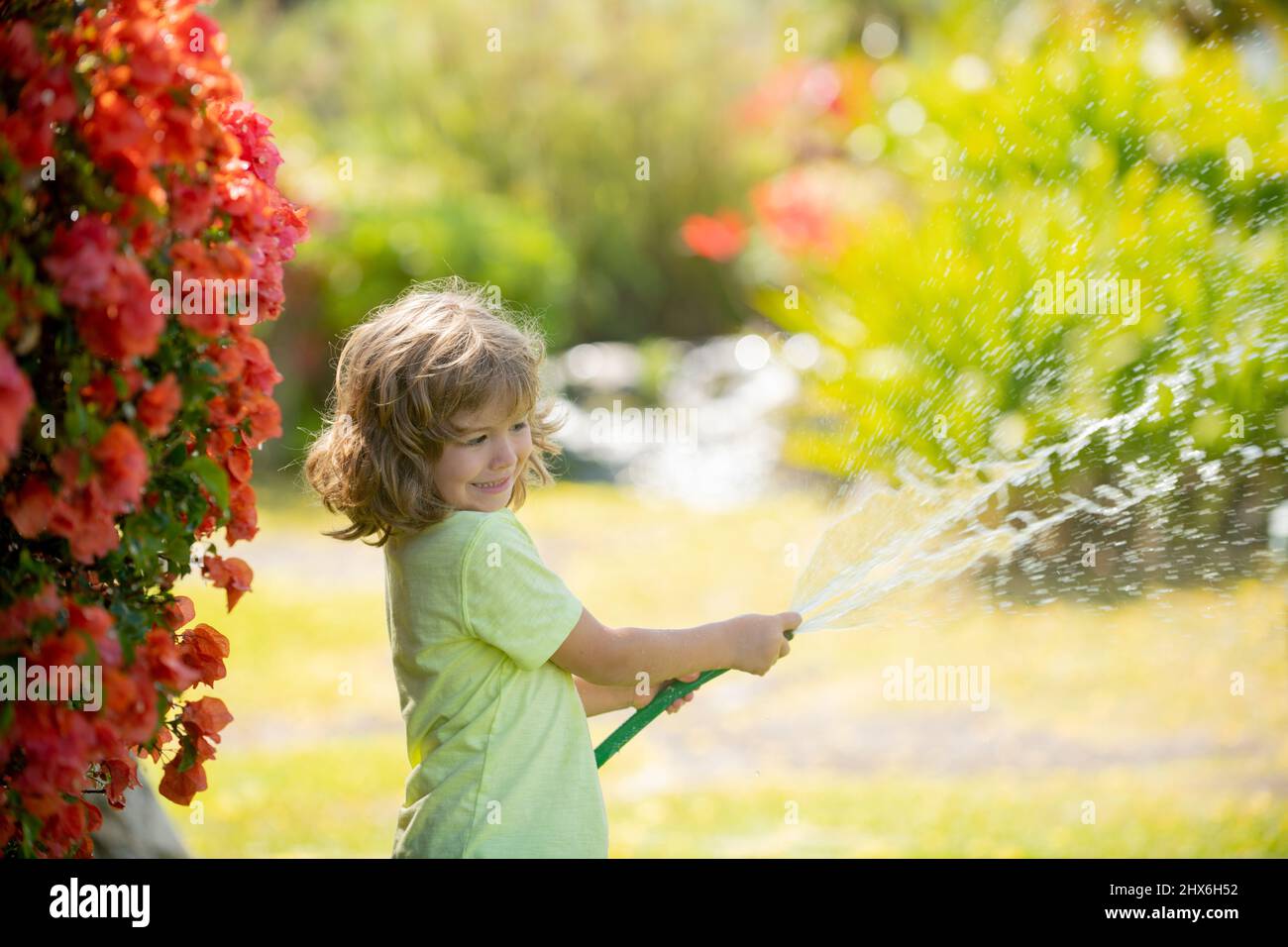 Child boy watering the plants, from hose spray with water hose in the  garden at the backyard of the house on a summer evening Stock Photo - Alamy