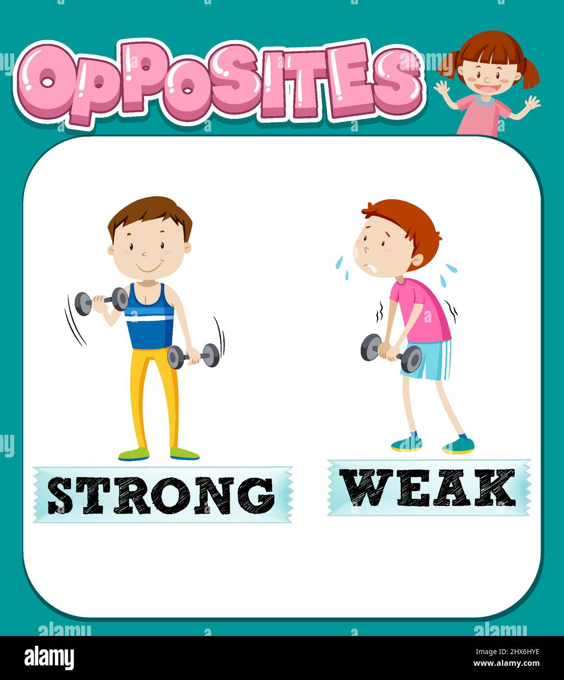 Opposite words for strong and weak illustration Stock Vector Image