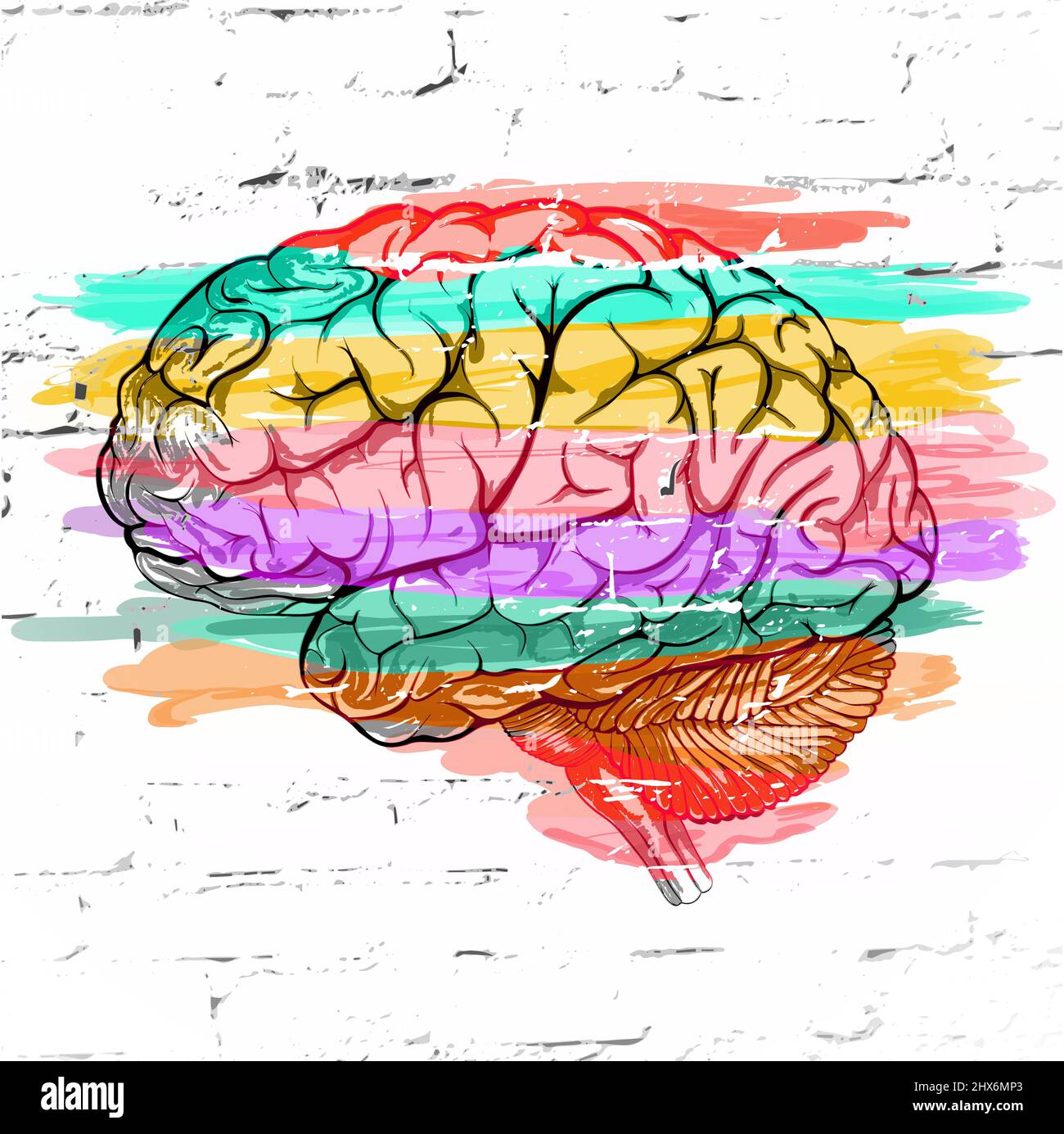 Abstract human brain colored striped  against a white brick wall as an expression of a variety of emotions and thoughts. Stock Photo
