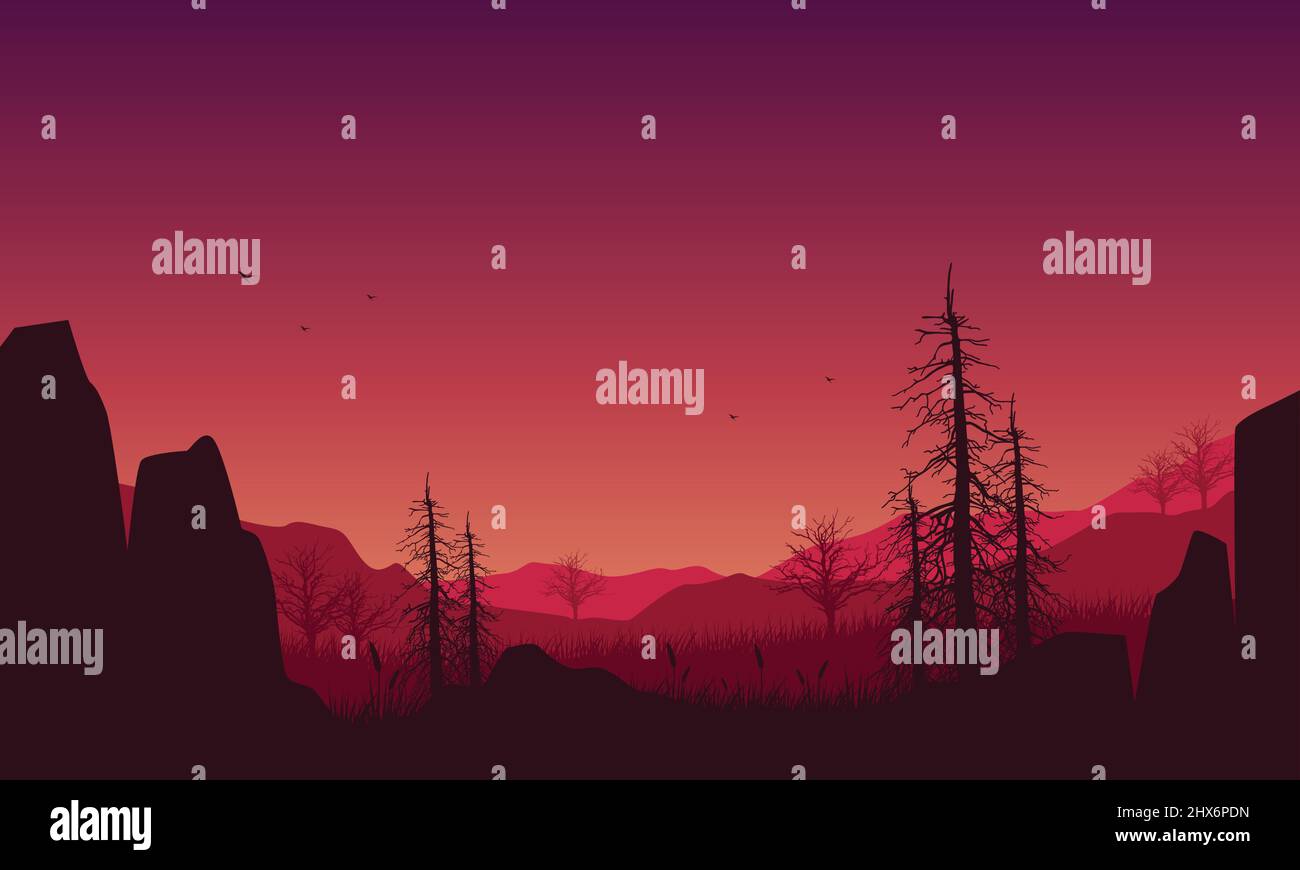 Mountain and ravine view with an aesthetic silhouette of dry pine trees ...