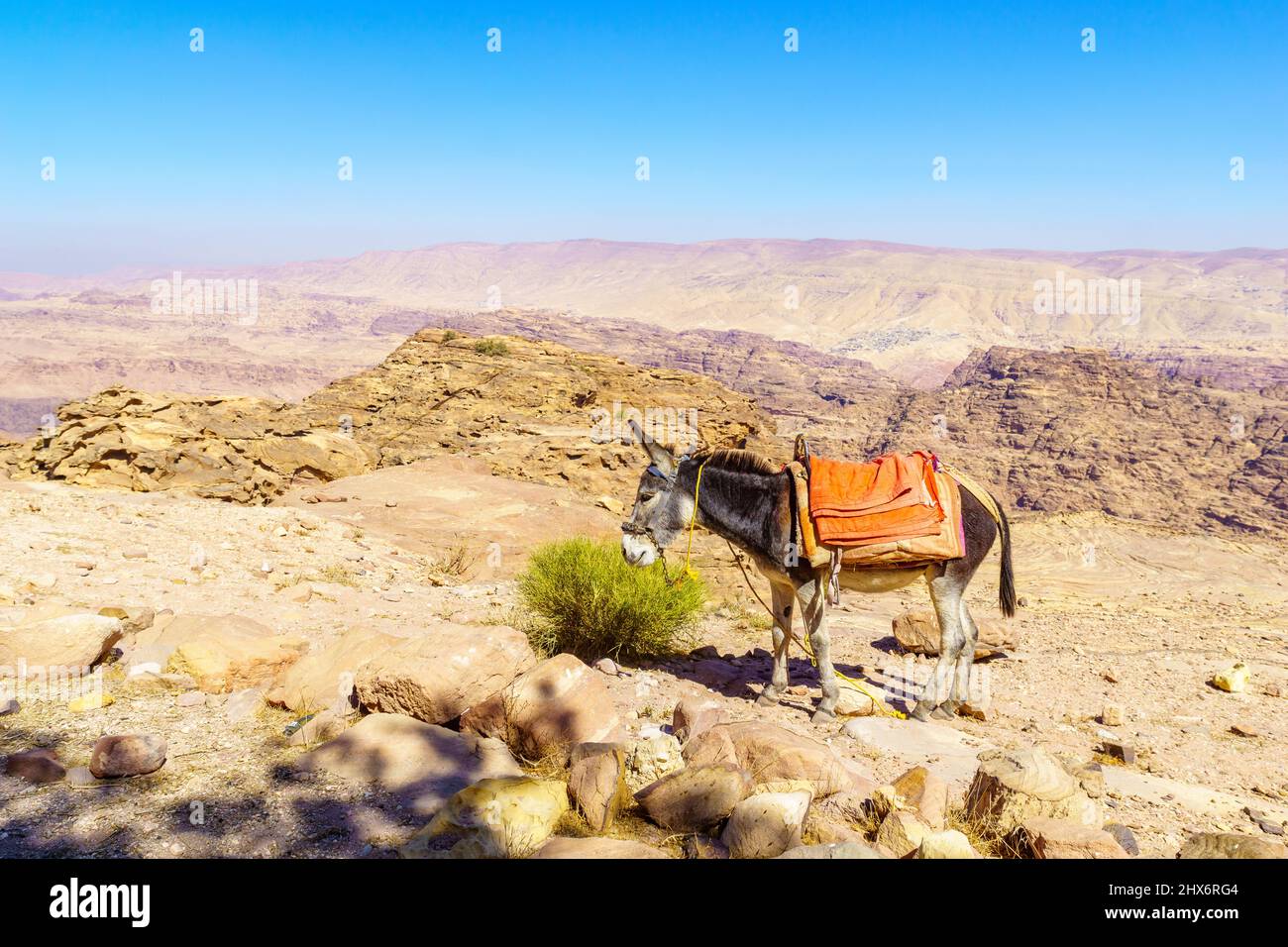 View of desert mountain landscape, with a donkey, near Petra, in Southern Jordan Stock Photo