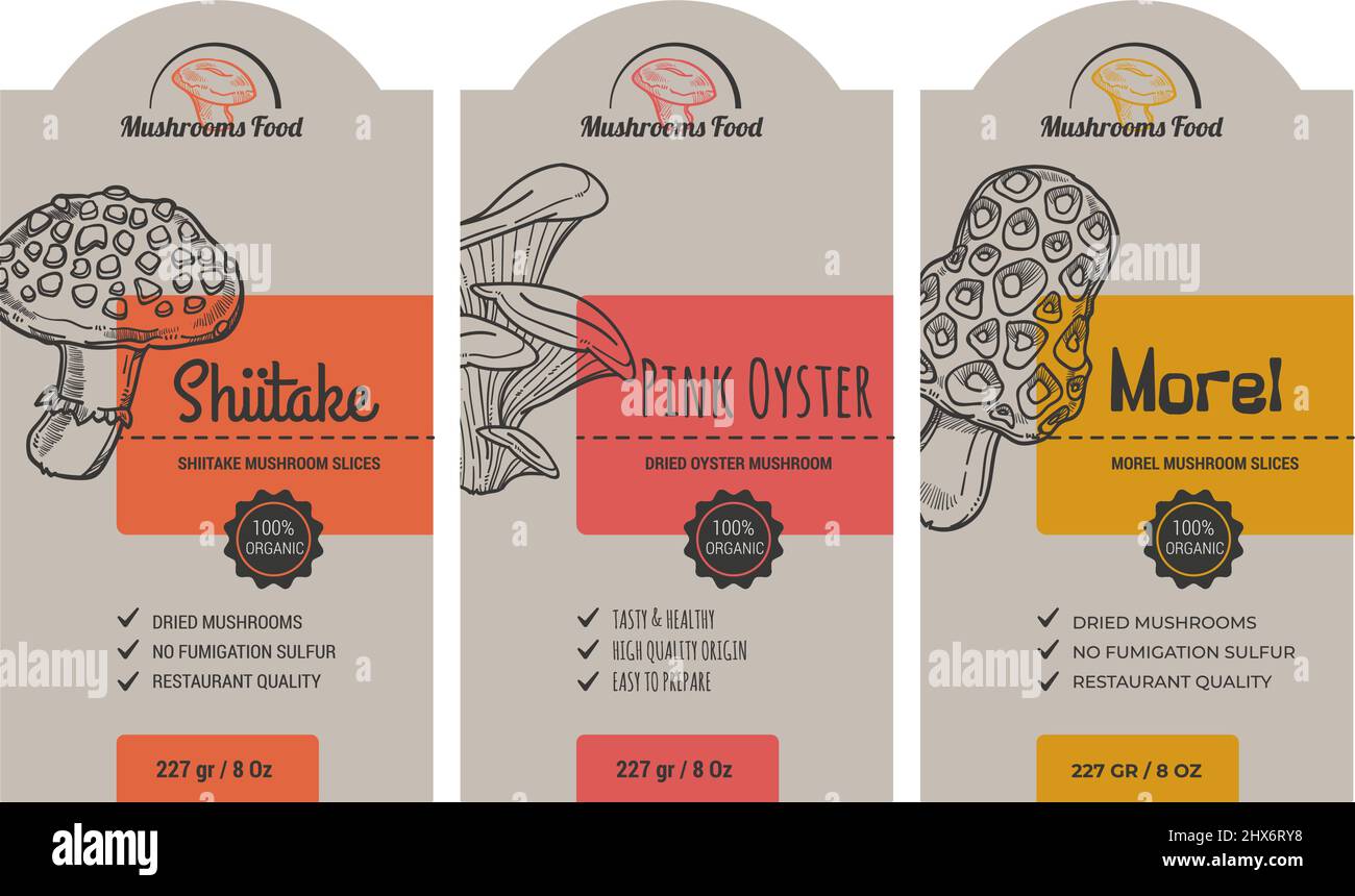 Common pink oyster mushroom Stock Vector Images - Alamy