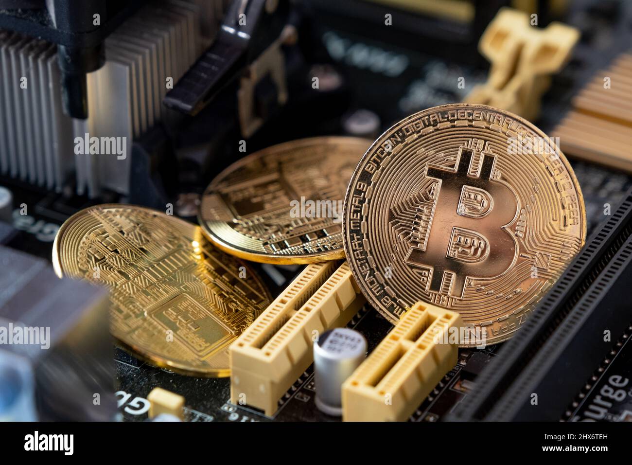 Golden bitcoins on a computer  main board . Crypto currency coins on  mother board background. Stock Photo