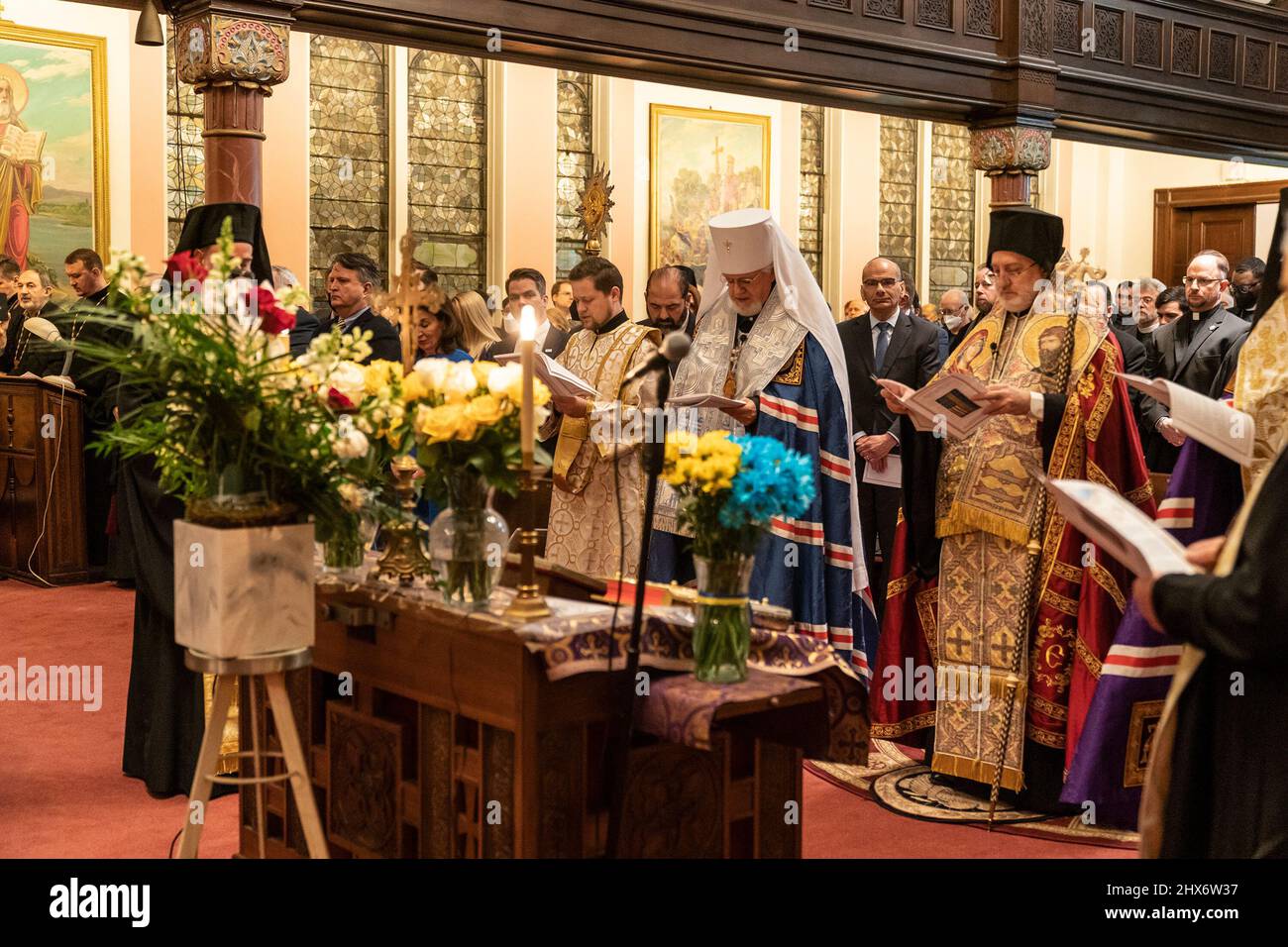 Vienna Priest Wearing Rainbow Vestments