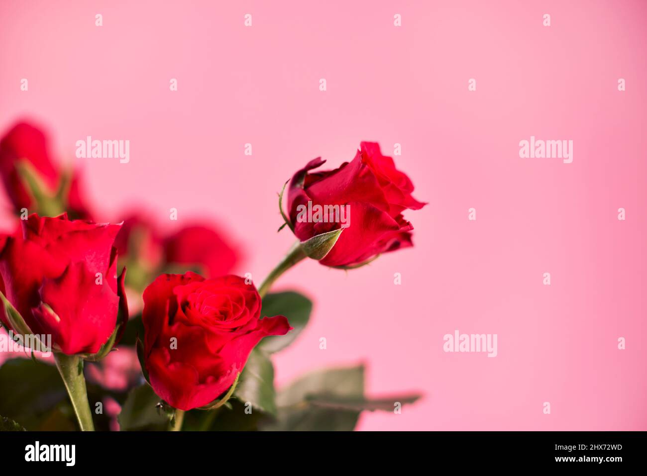 Flower bouquet studio shot hi-res stock photography and images - Alamy