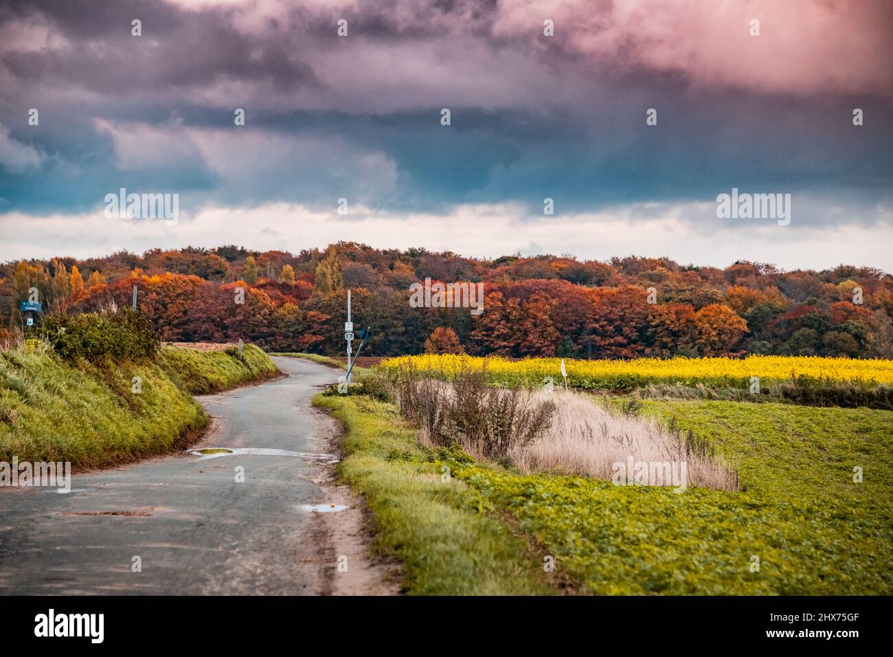 countryside twisting road in autumn Stock Photo
