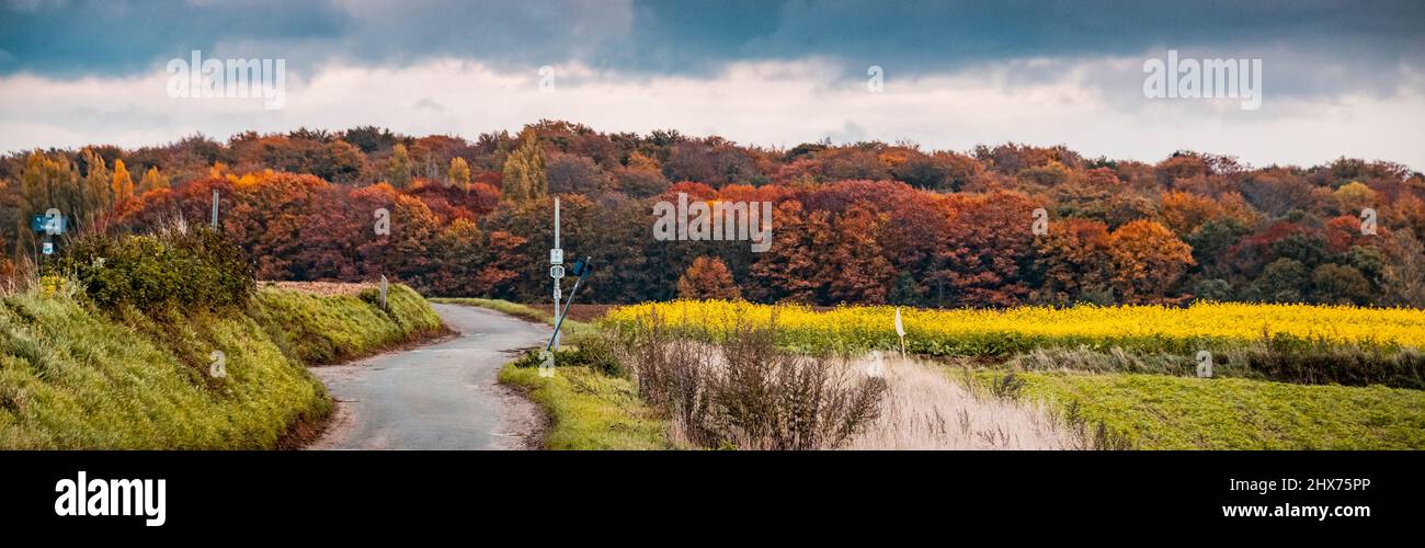 countryside twisting road in autumn Stock Photo