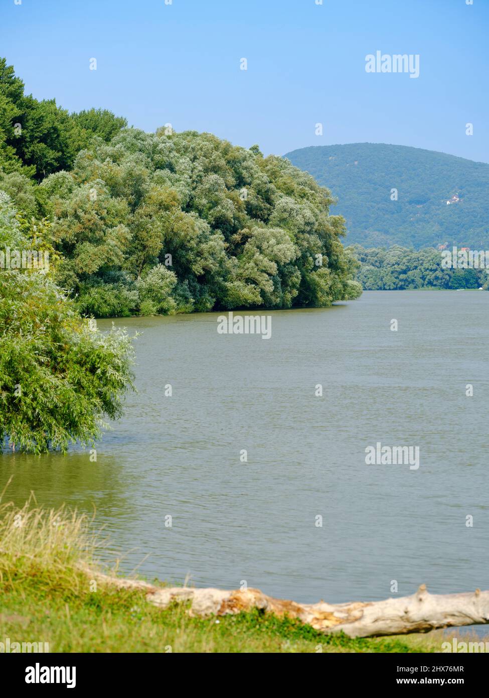 Danube near village Dunabogdany. View towards the   Danube Bend at Visegrad.   Europe, East Europe, Hungary Stock Photo