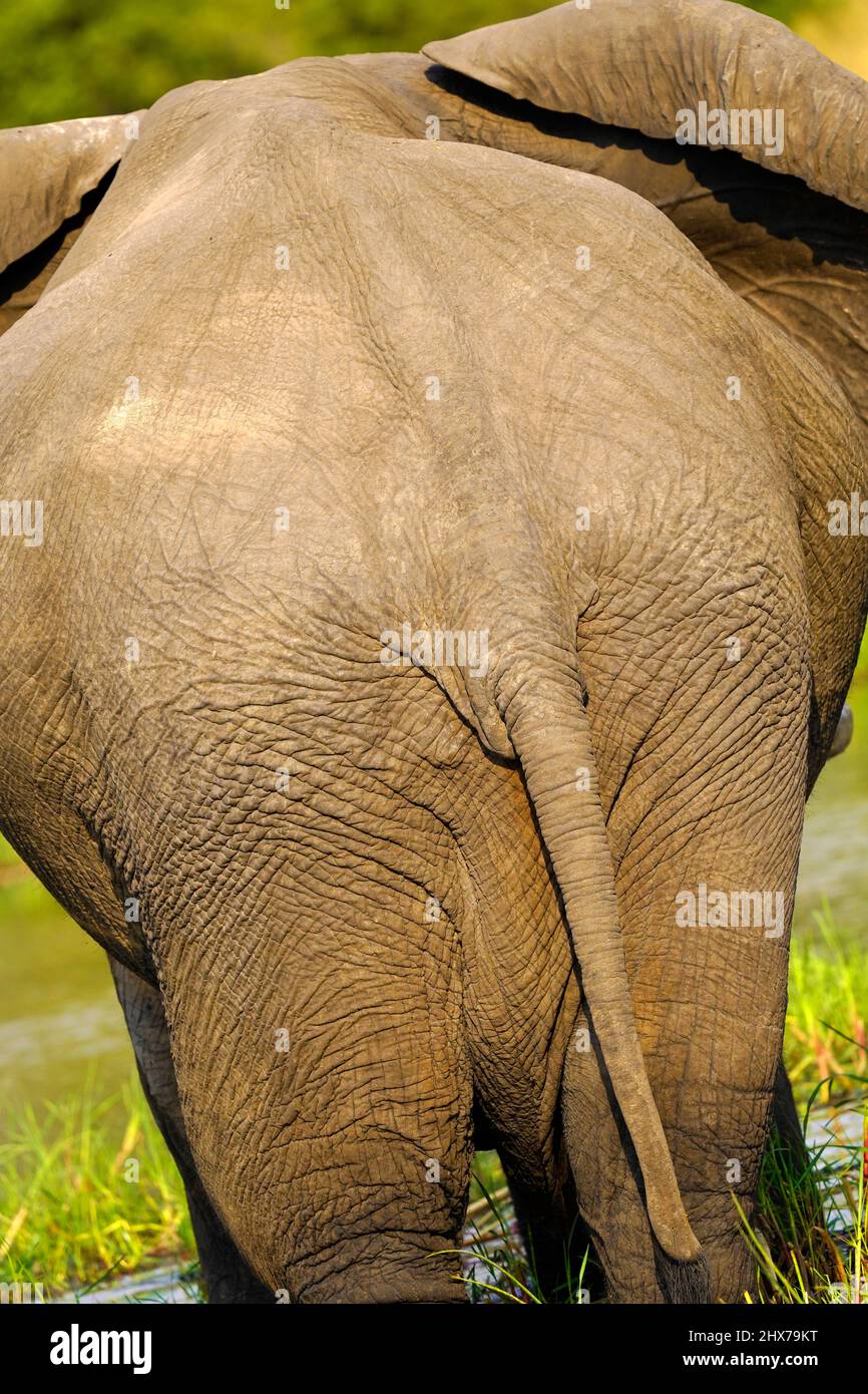 Rear view happy family hi-res stock photography and images - Alamy