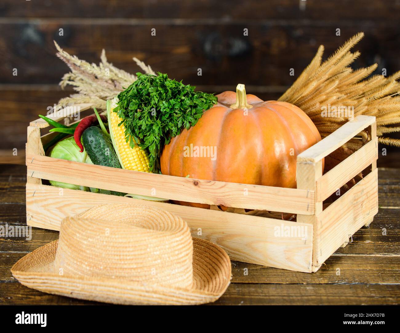 Buy fresh homegrown vegetables. Grocery shop concept. Just from garden