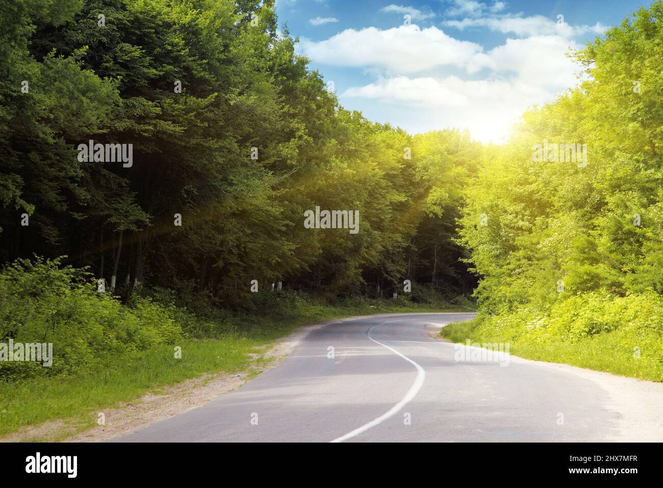 Empty asphalt road running through forest. Stock Photo