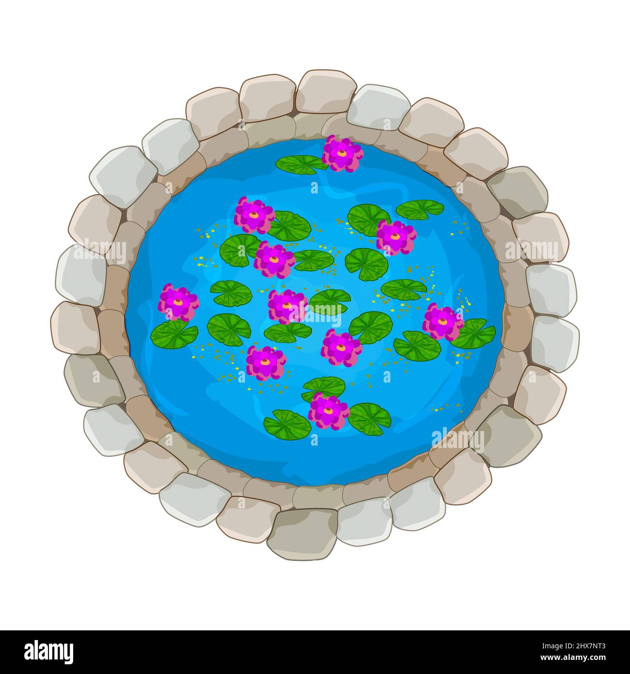 Pond with lily isolated on white background. Small stone decorative pond with red water lilies. Reservoir for garden design. Stock vector illustration Stock Vector