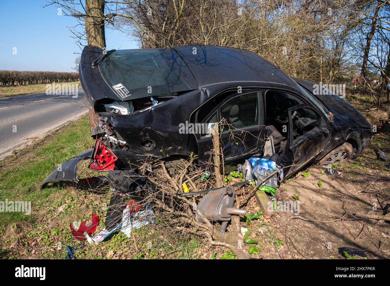 Ford Mondeo crashed into trees on a busy Norfolk road (police are aware) Stock Photo
