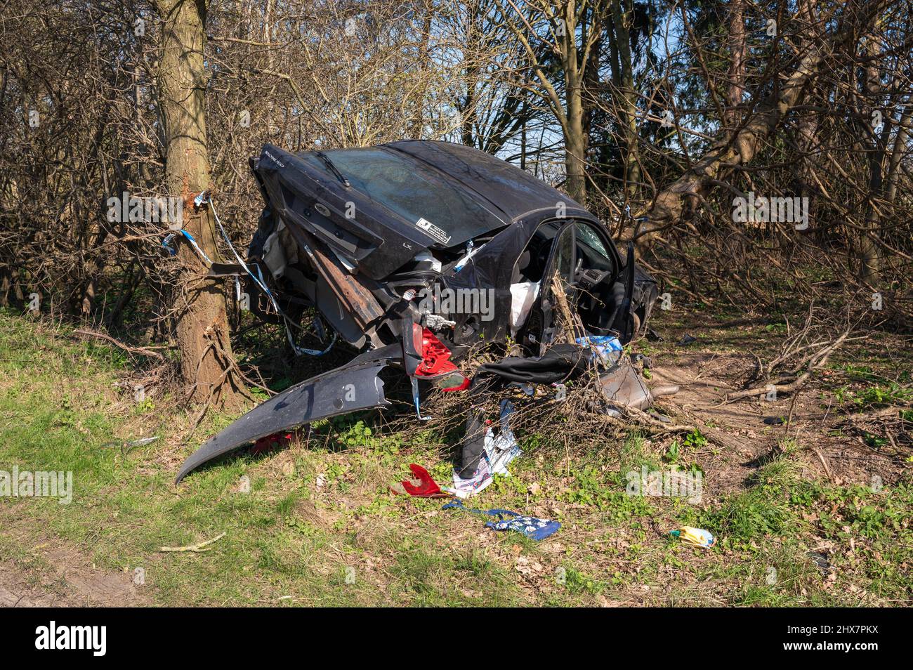 Ford Mondeo crashed into trees on a busy Norfolk road (police are aware) Stock Photo