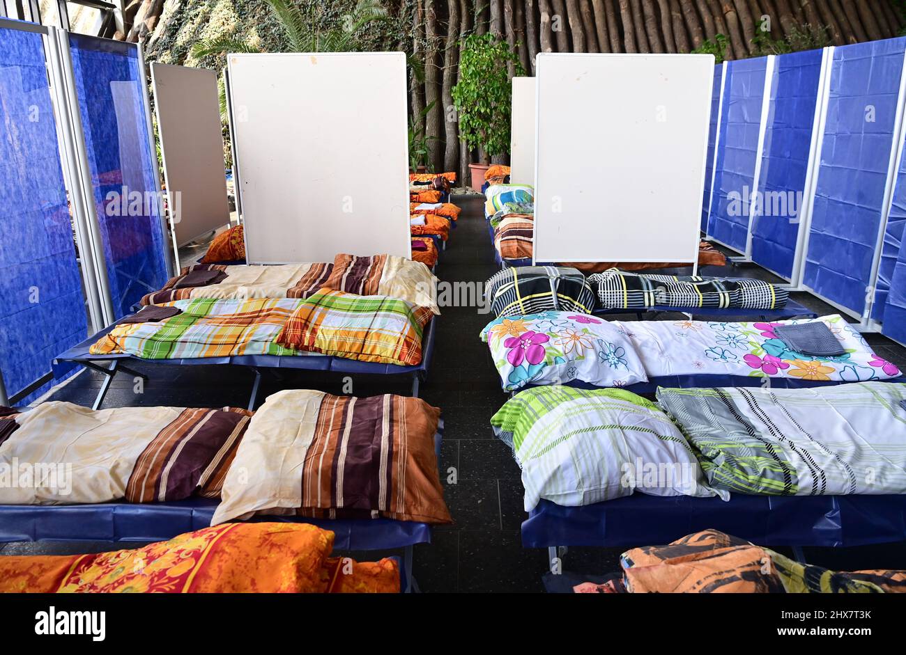 Potsdam, Germany. 10th Mar, 2022. Camp beds with donated bedding are