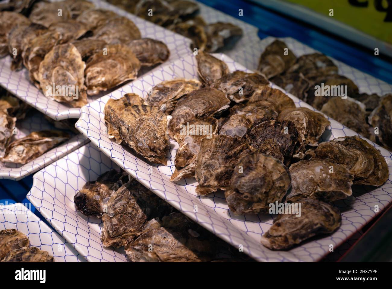 Fresh oysters for sale in containers at an Asian wet market and supermarket. Stock Photo