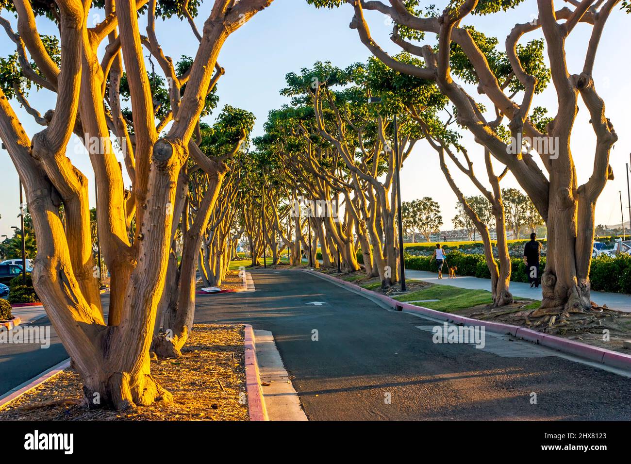 View of one of beautiful place in San Diego,California,America. Stock Photo