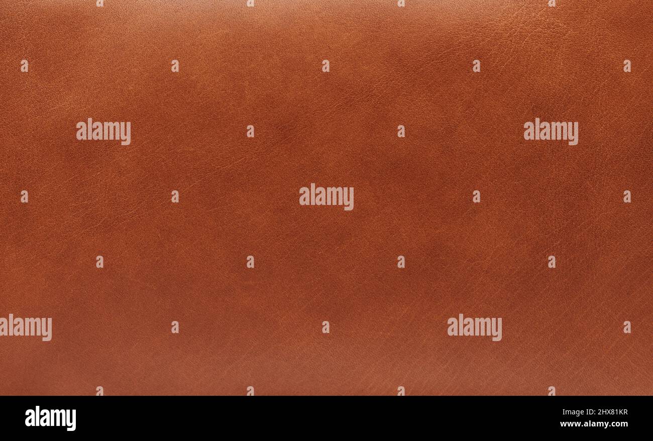 Seamless Smooth Leather Texture