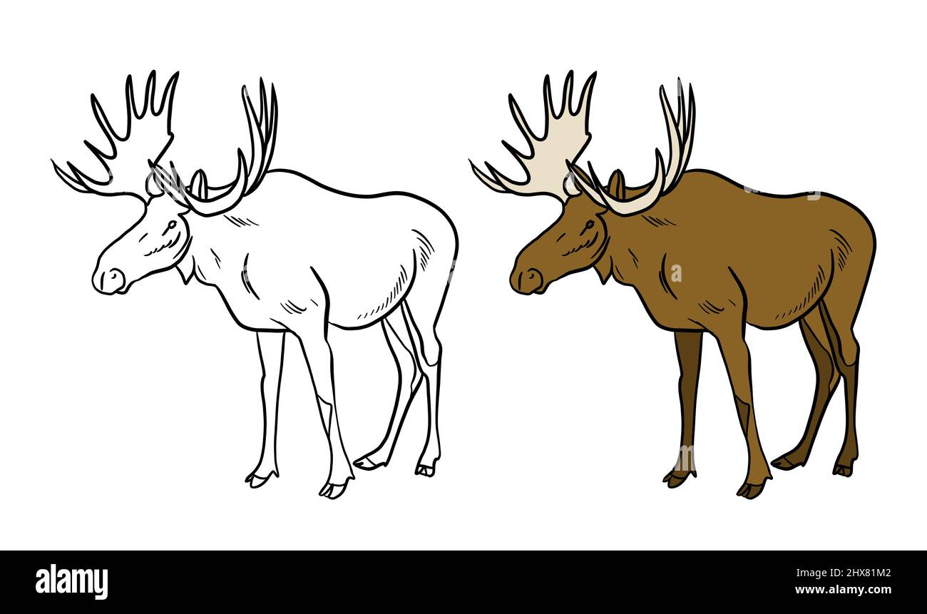 Illustration for a coloring book in color and black and white. Drawing ...