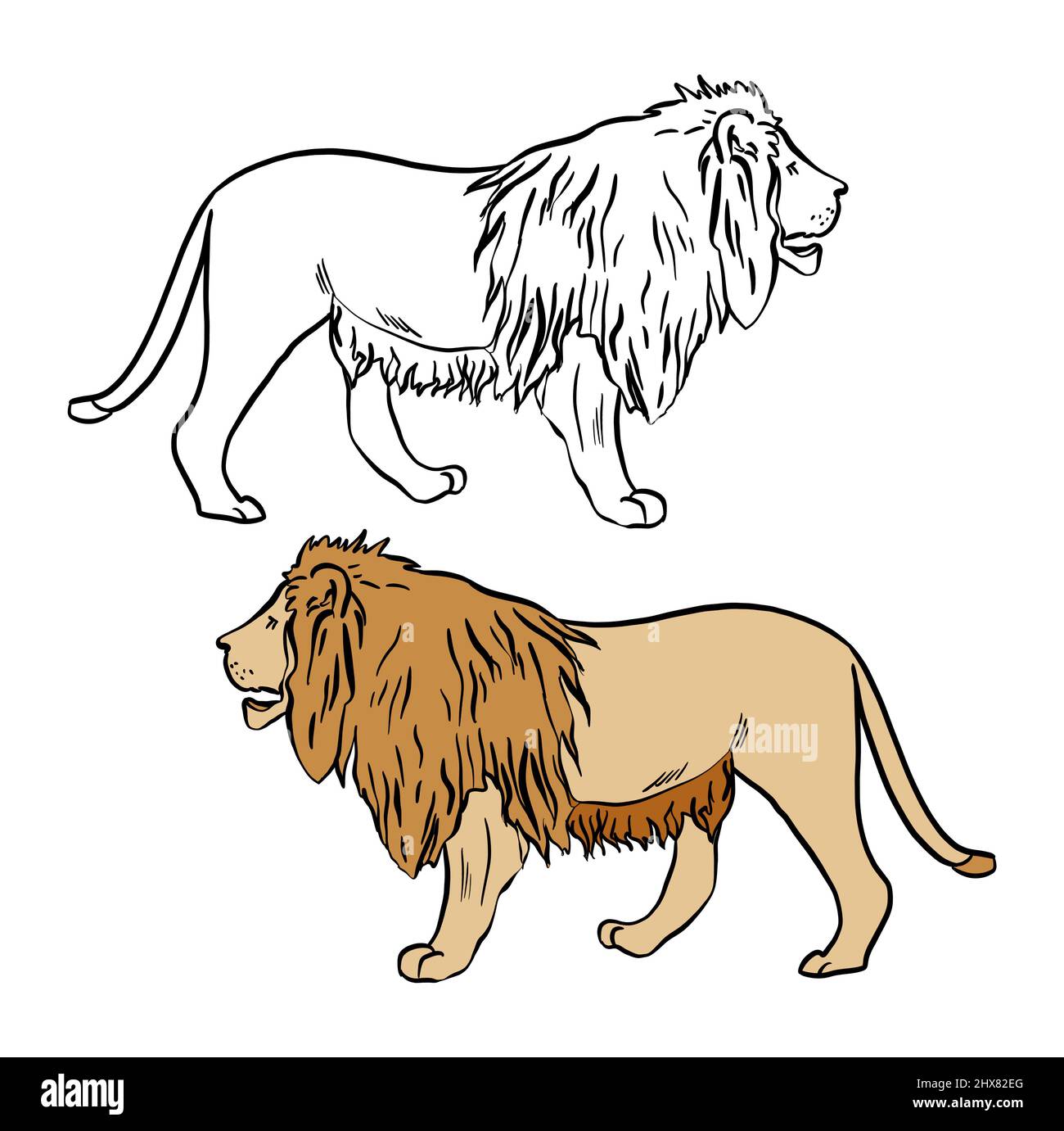 pencil easy lion sketch - Clip Art Library