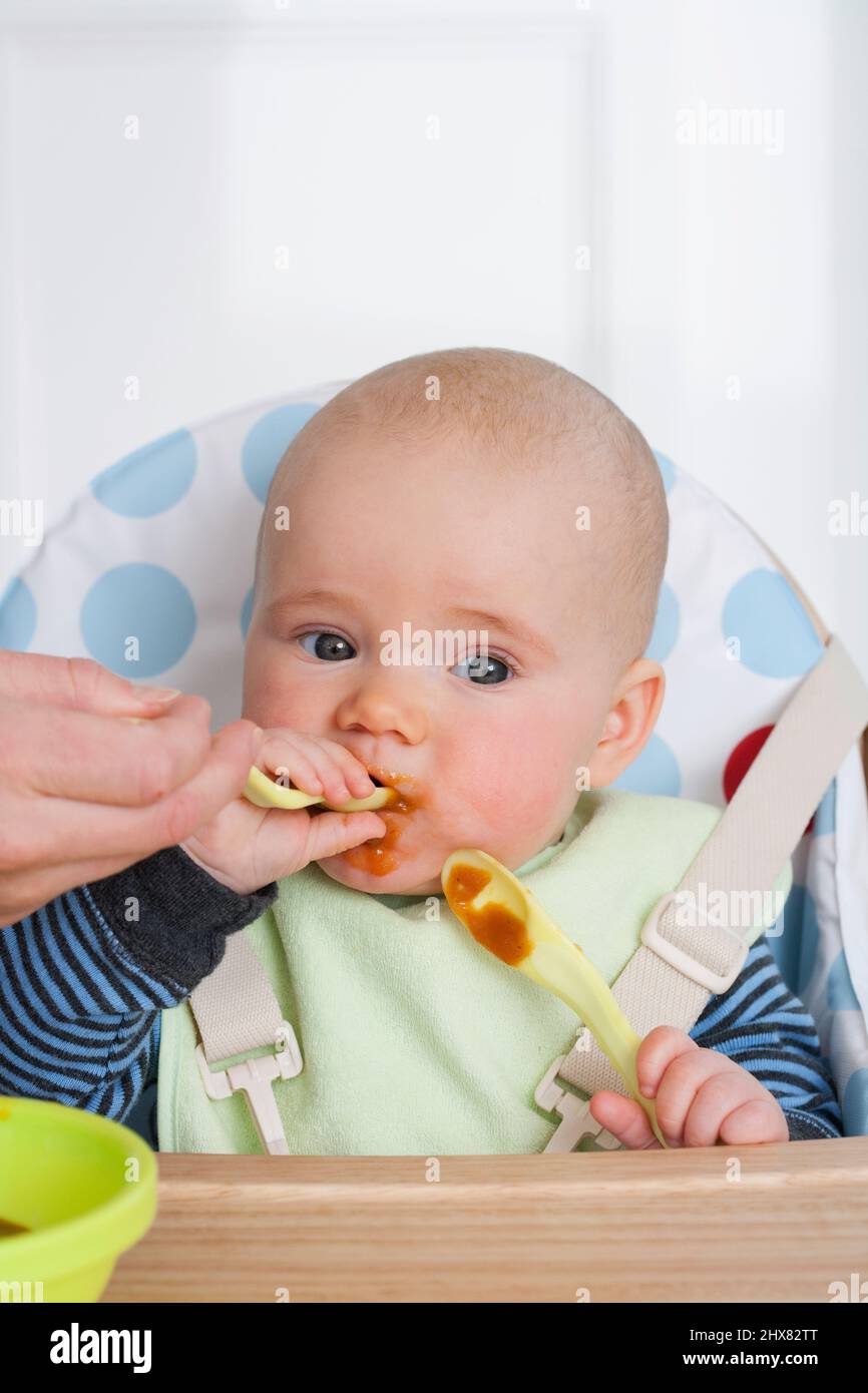 Baby boy in high chair eating pureed food with spoon - Stock Image