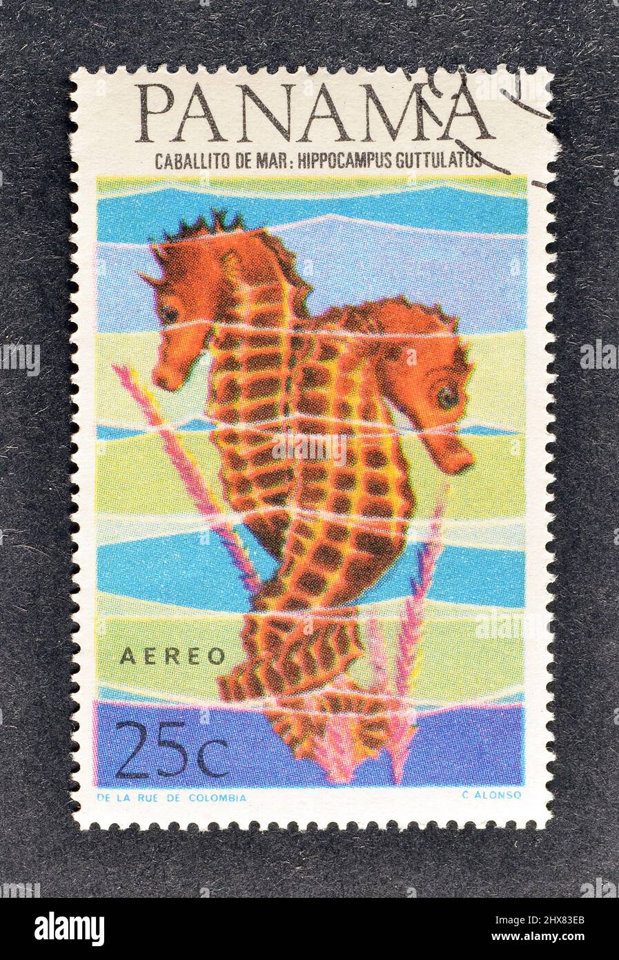 Cancelled postage stamp printed by Panama, that shows Long-snouted Seahorse (Hippocampus guttulatus), circa 1965. Stock Photo