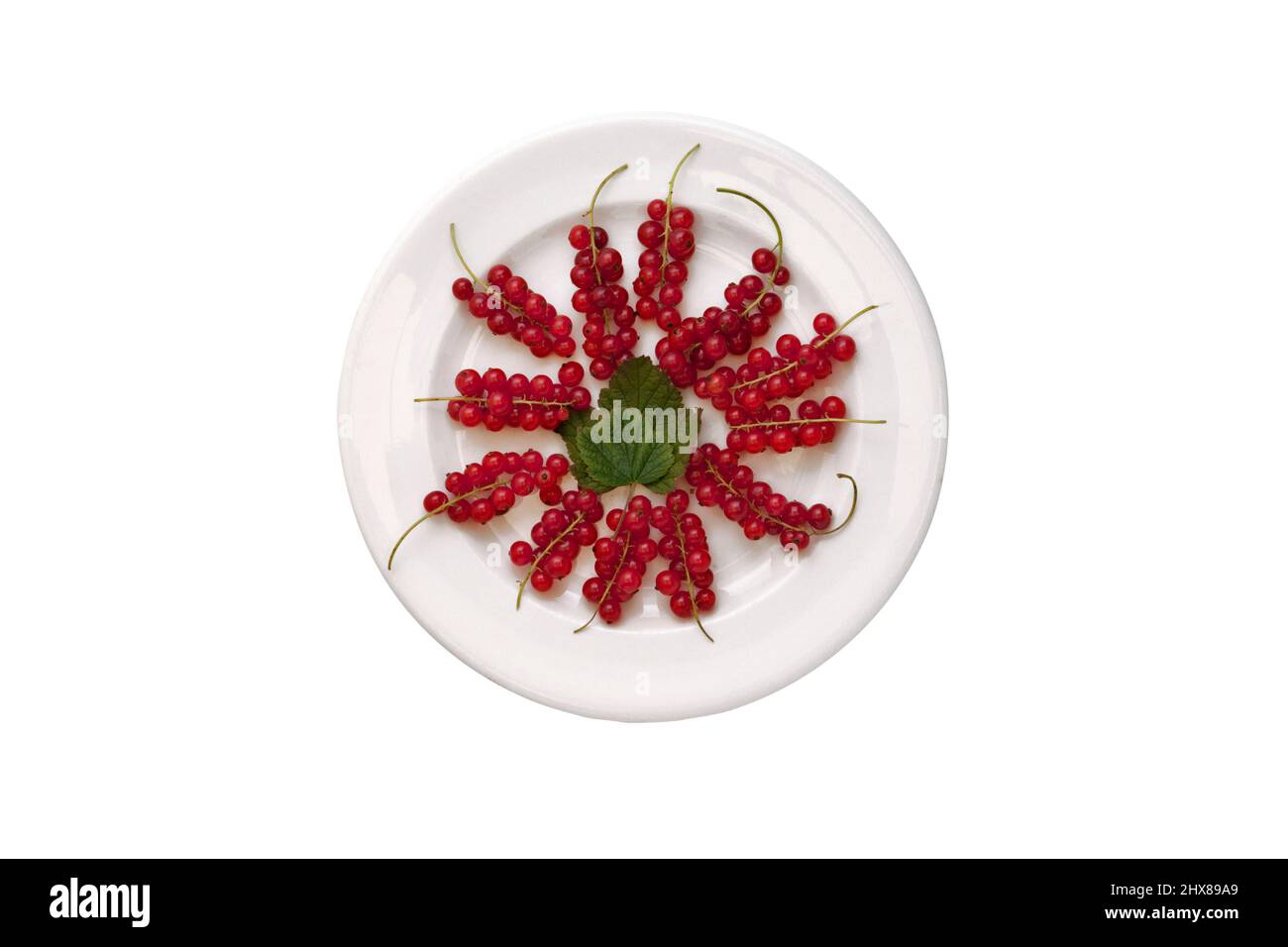 Redcurrants on a plate Stock Photo