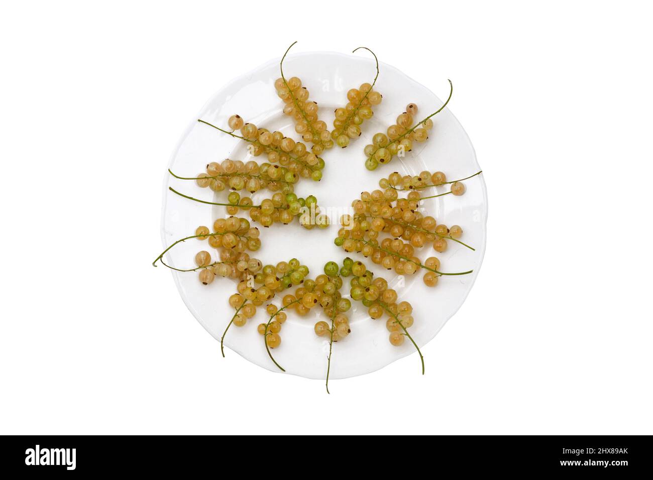 Whitecurrants on a plate Stock Photo