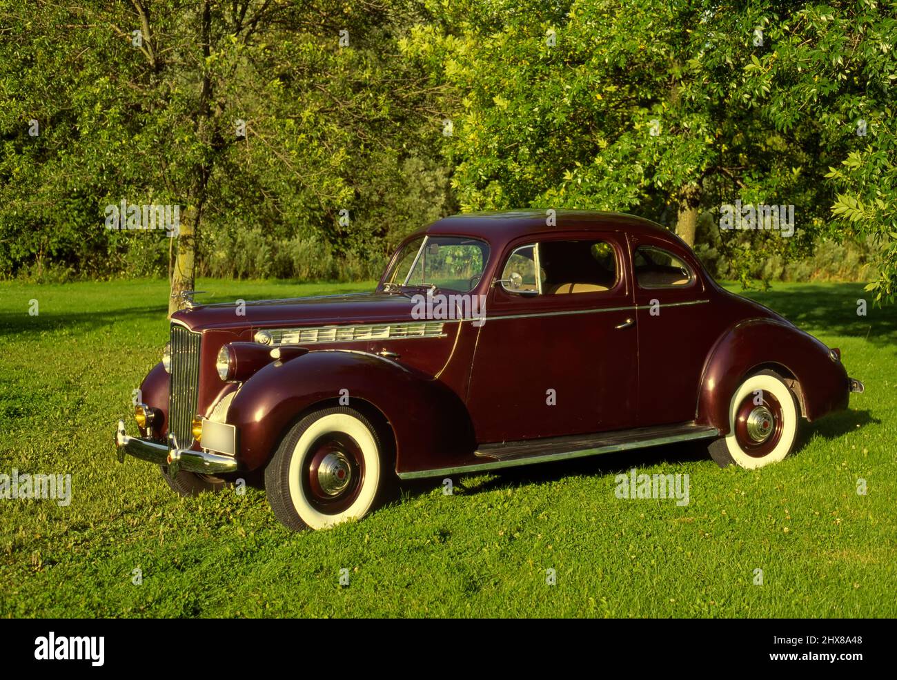 1940 Packard 110 Coupe on grass Stock Photo