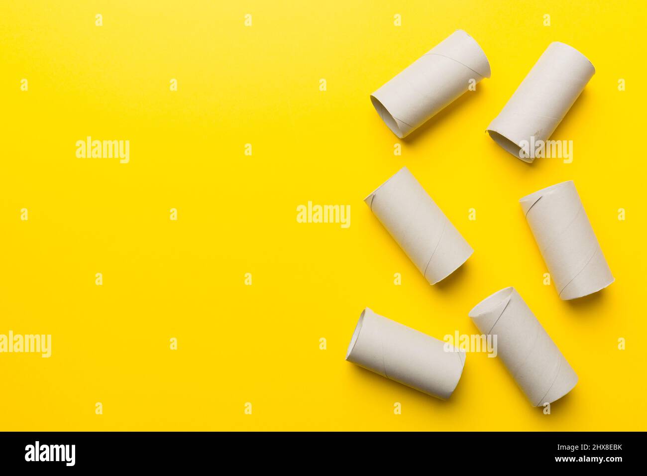 Flat lay composition with empty toilet paper rolls and space for text