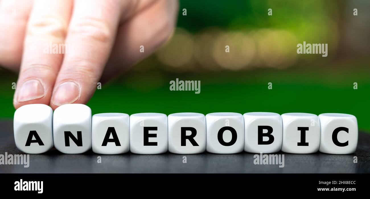 Symbol for aerobic training. Hand turns dice and changes the word anaerobic to aerobic. Stock Photo